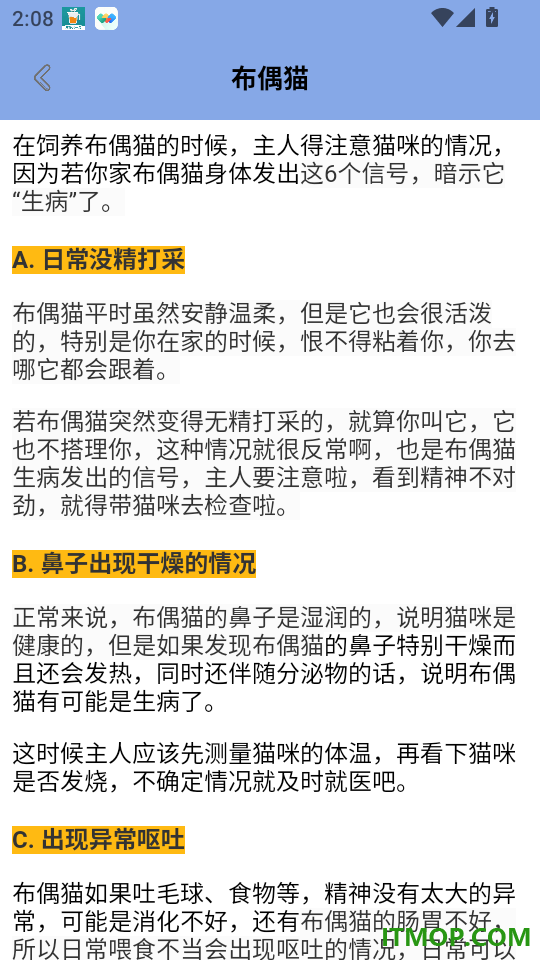 我和猫猫咪官方版