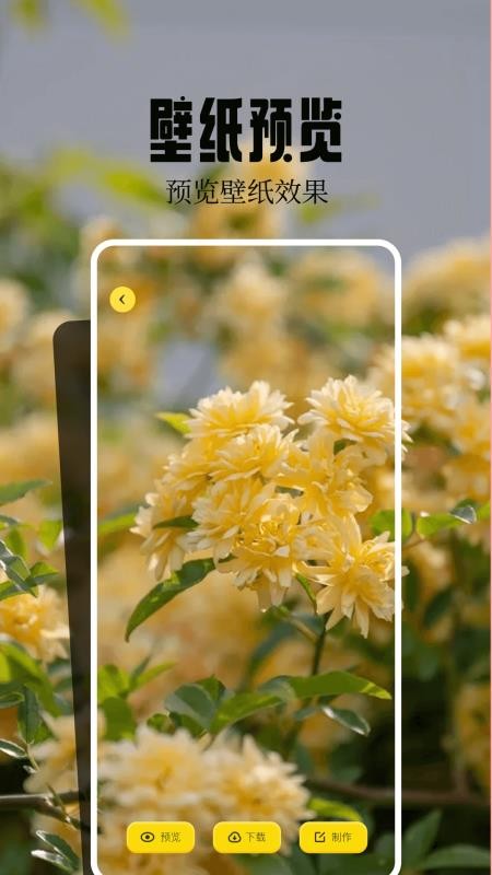魔秀壁纸官网版v1.5(2)