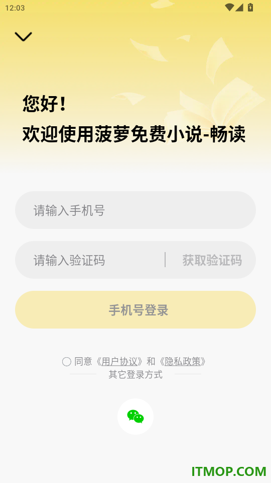 菠萝免费小说畅读