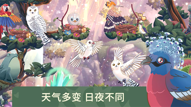 鸟类世界游戏v1.76 4