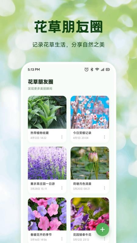 Bloom花开最新版v1.1(3)
