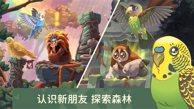 鸟类世界游戏v1.76 3