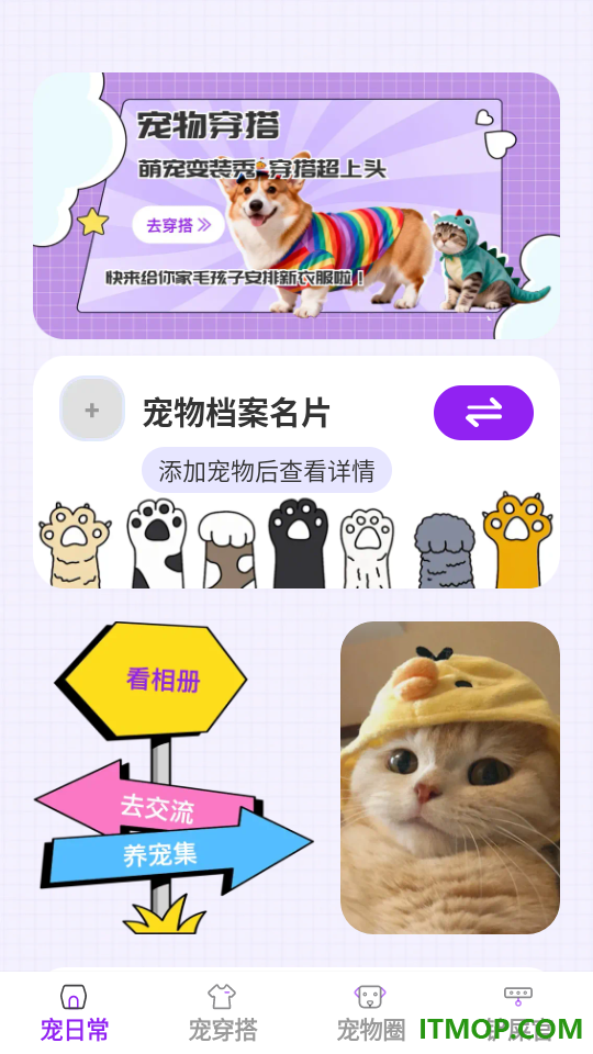 萌宠伴行最新版