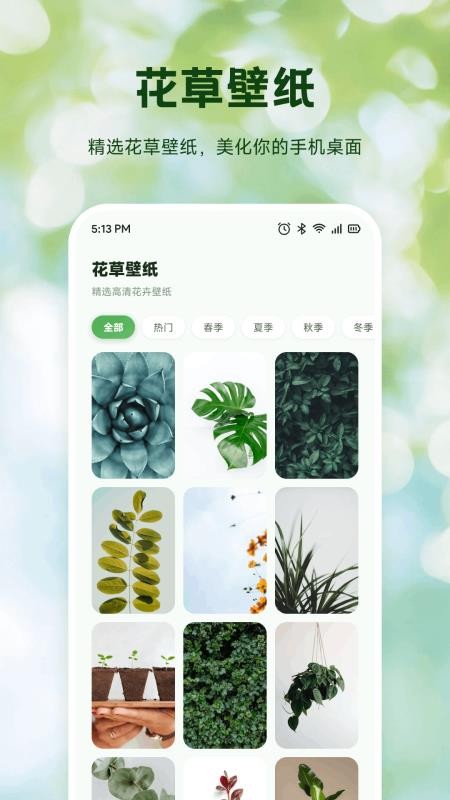 Bloom花开最新版v1.1(4)