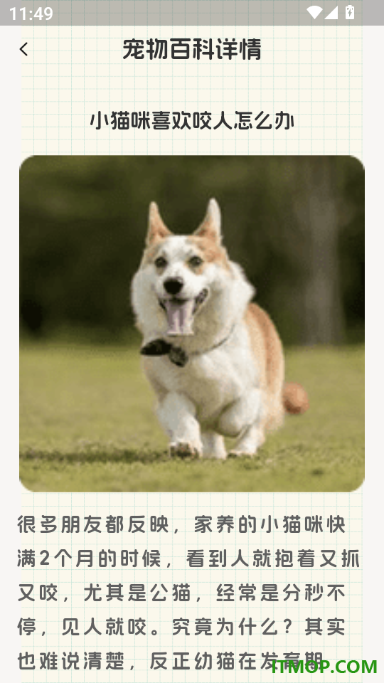 猫叫翻译器app