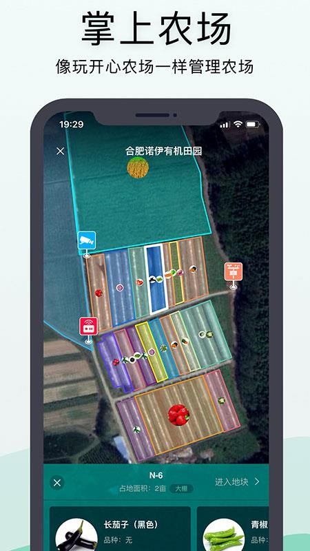 神农口袋appv7.3.2 1