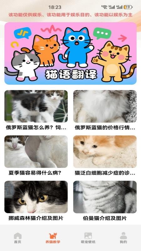 名羊四海猫猫官方版v1.8 3