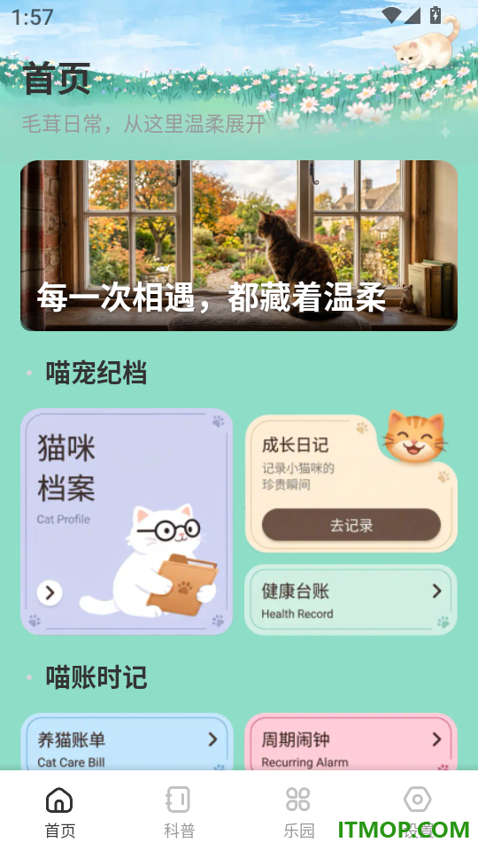 飞菲猫助手客户端