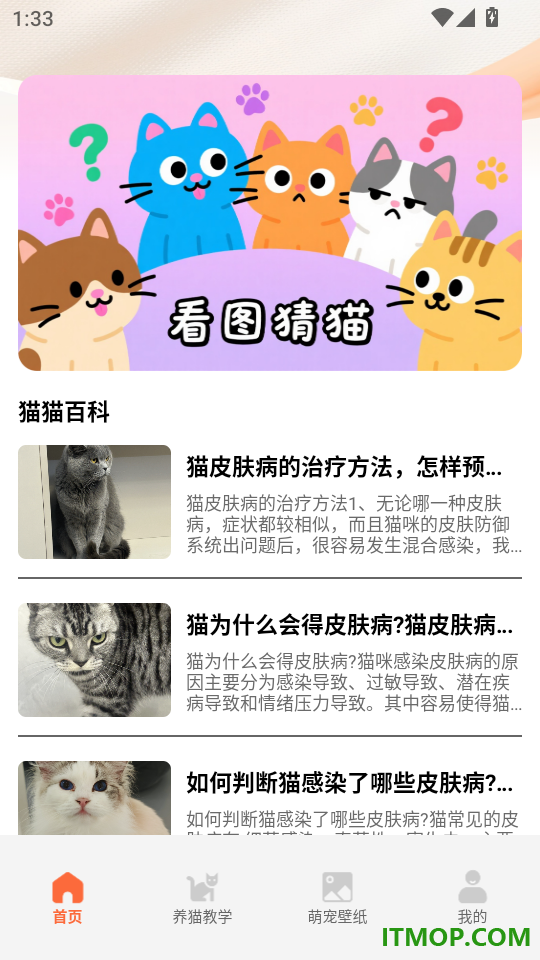 名羊四海猫猫官方版