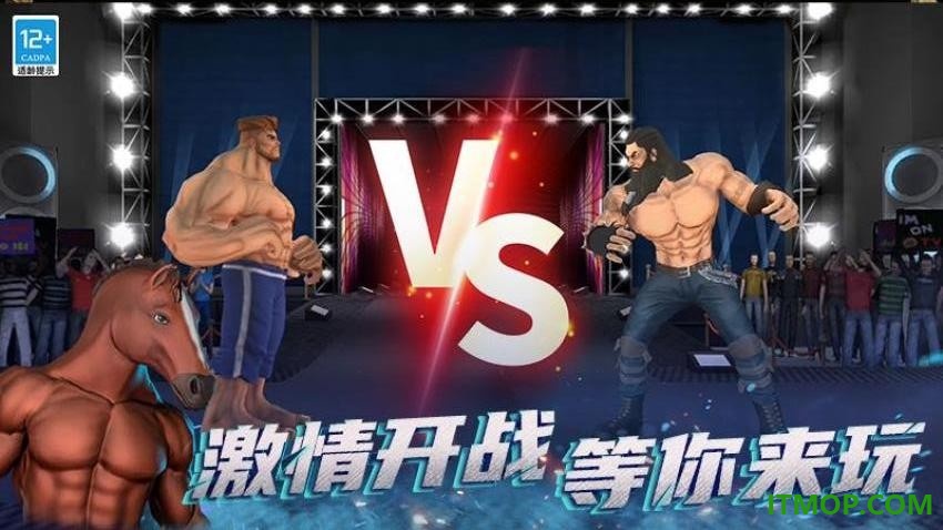 拳拳暴击手游