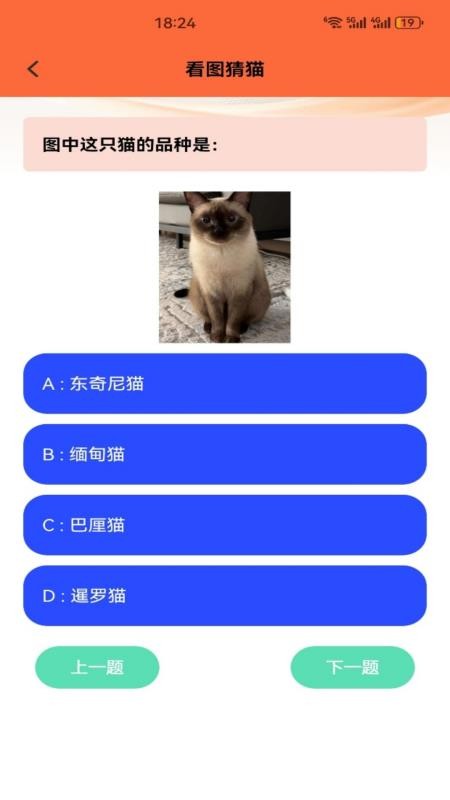 名羊四海猫猫官方版v1.8 1