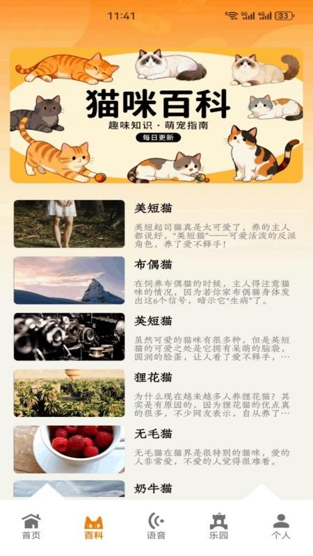 万事大吉猫猫最新版v2.5(2)