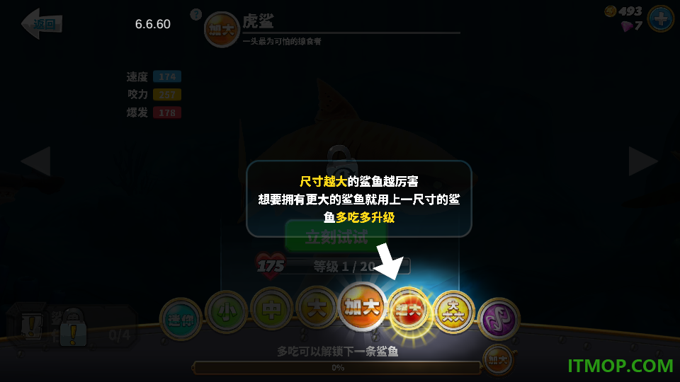 饥饿鲨:世界游戏