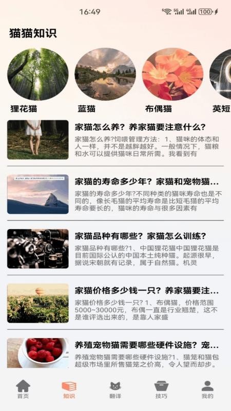 企鹅猫多多手机版v1.5(4)