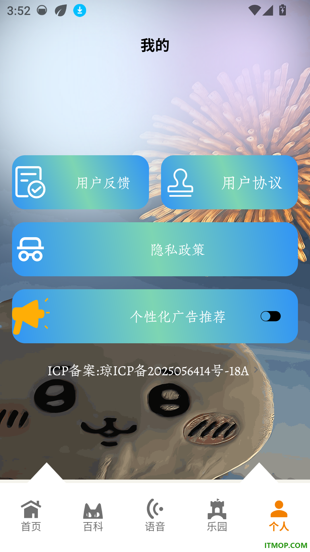 万事大吉猫猫最新版