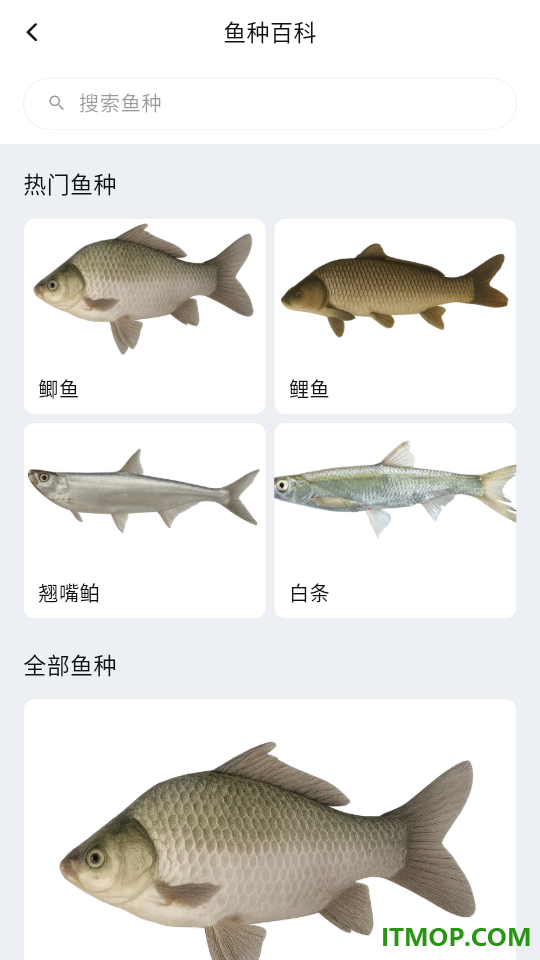 钓鱼卫星地图免费版