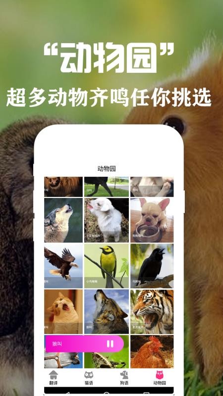 狗语翻译交流器手机版v3.8(5)