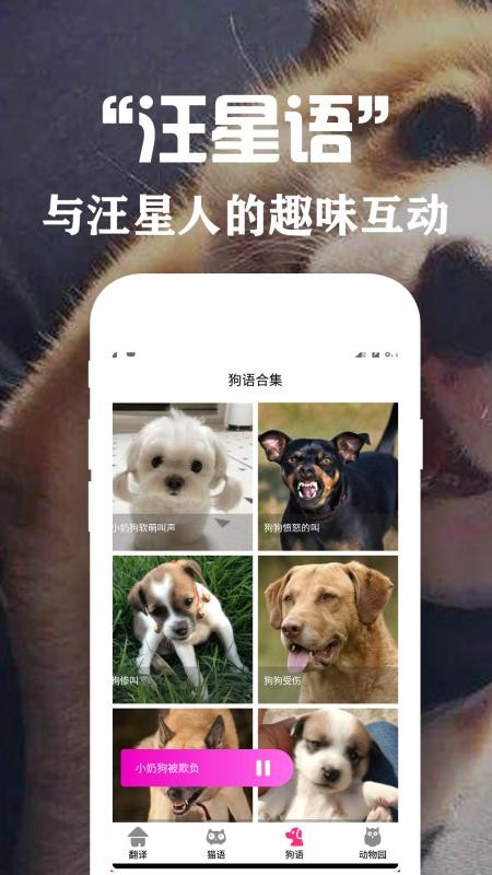 狗语翻译交流器手机版v3.8(3)