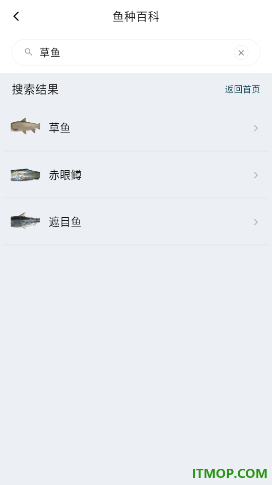 钓鱼卫星地图免费版