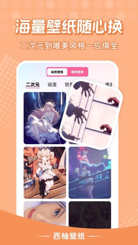 西柚壁纸安卓版(4)