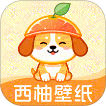 西柚壁纸安卓版 v1.0.4