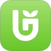 油葱官网版 v4.31.0