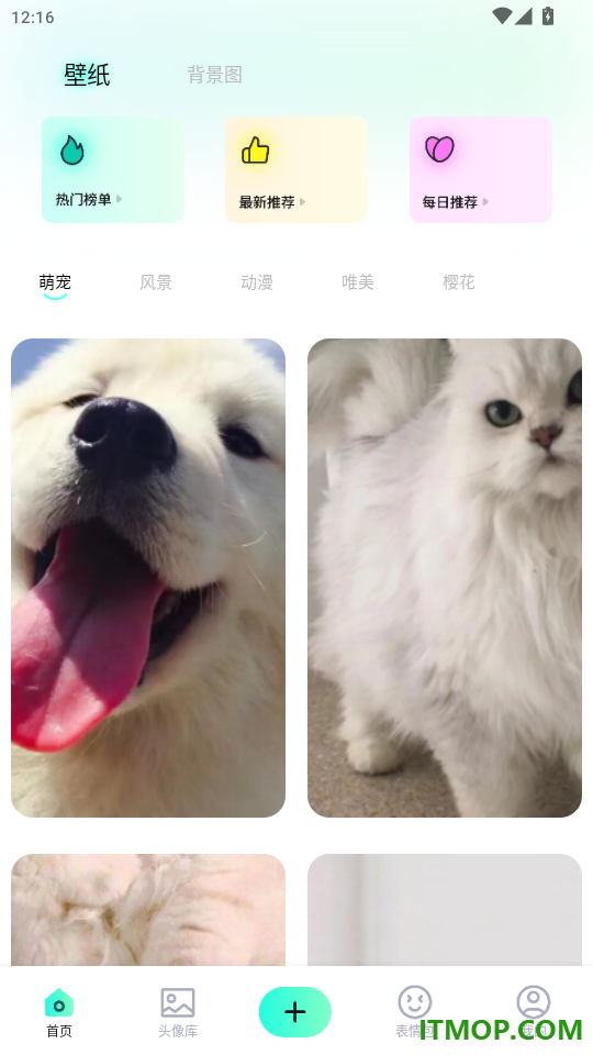 西西壁纸大全官网版