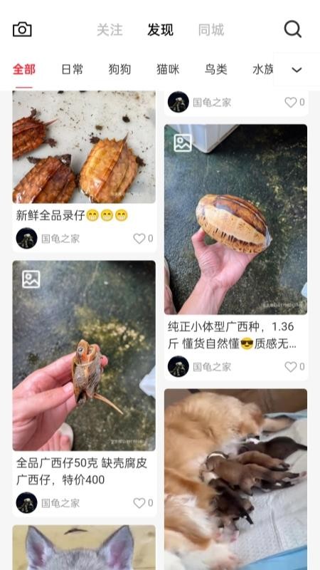 宠友圈官网版v2.6.3(4)