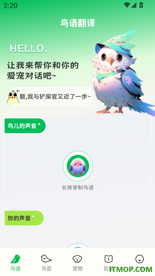 鸟语交流器最新版