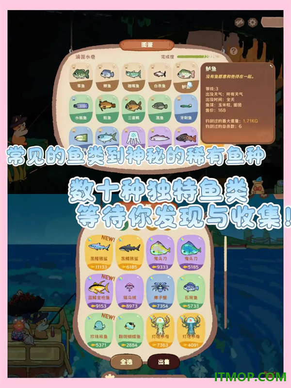猫猫钓游记游戏