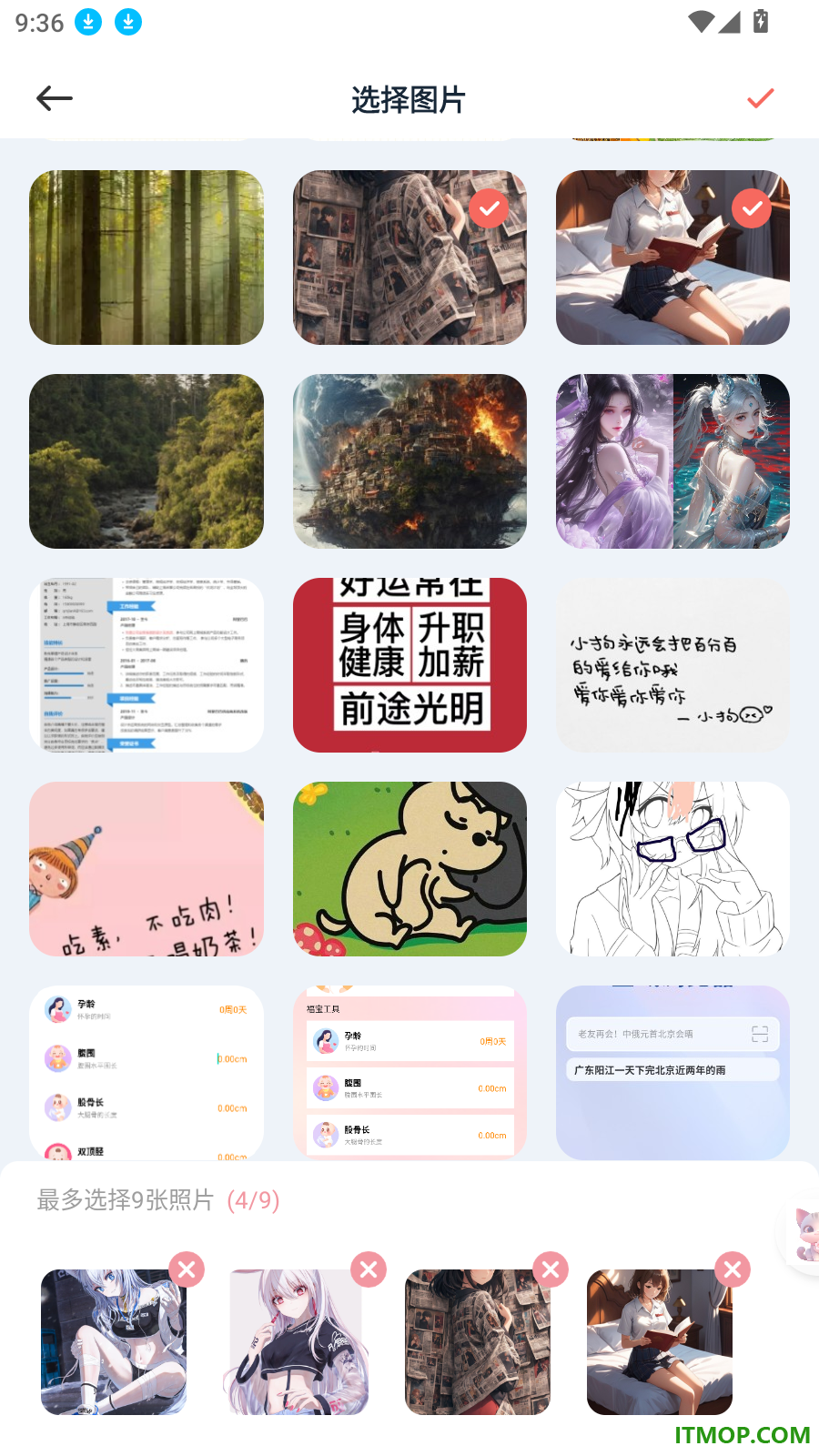 珍珠手机版