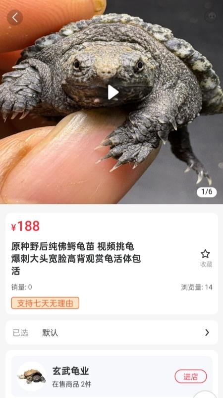 宠友圈官网版v2.6.3(2)