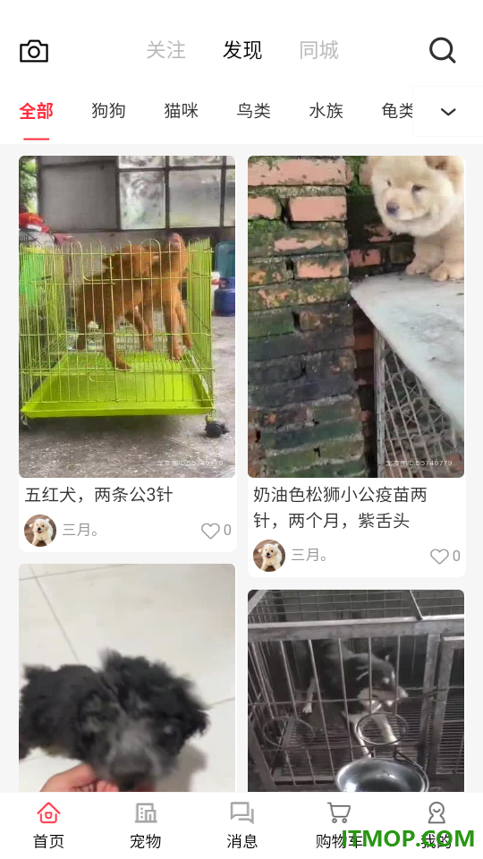 宠友圈官网版