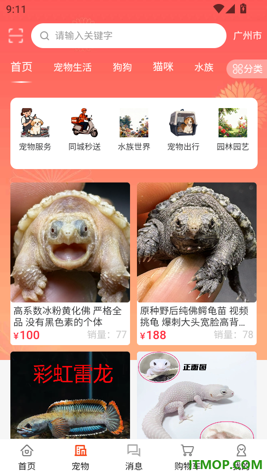 宠友圈官网版