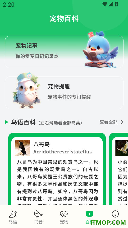 鸟语交流器最新版