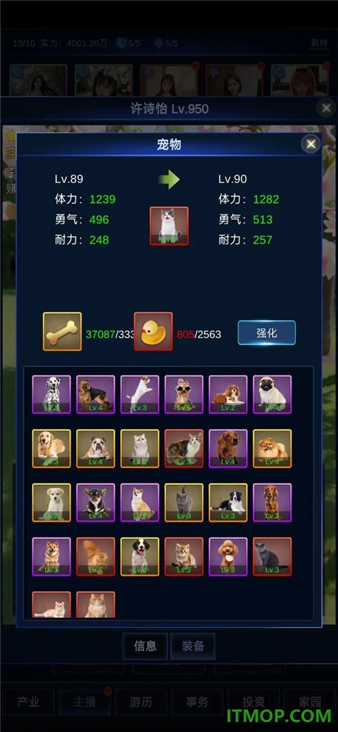 直播时代手游
