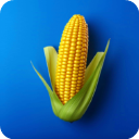 农场之地(Farm Land)