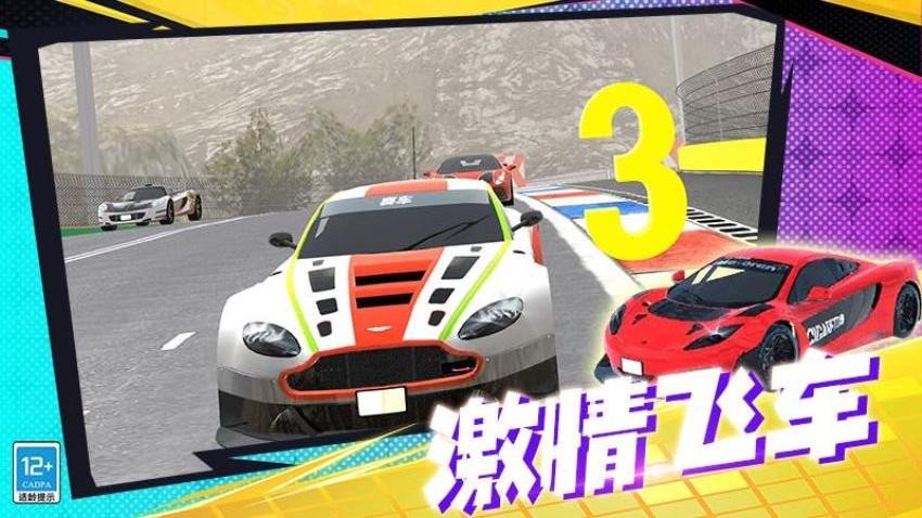 狂野极速赛车游戏