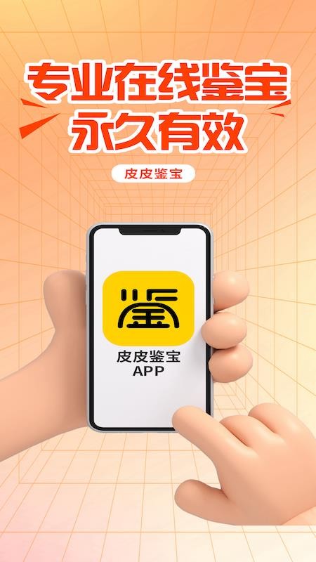 皮皮鉴宝最新版v4.2.0 4