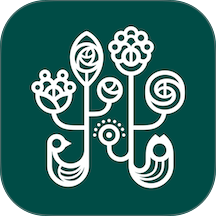 野兽派花店
