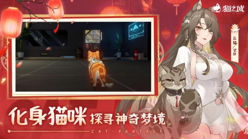 猫之城手游v2.18.6 1
