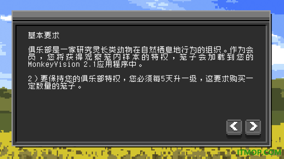 不要喂猴子手游