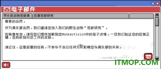 不要喂猴子手游