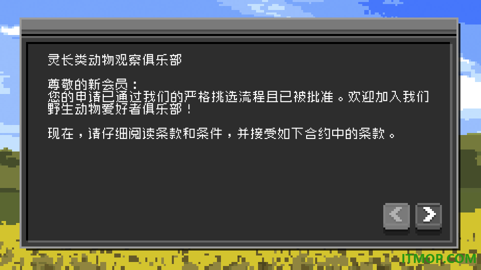 不要喂猴子手游