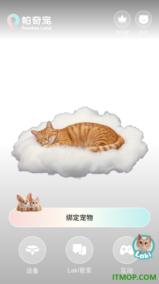 帕奇宠最新版