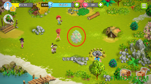 家庭岛游戏(Family Island)