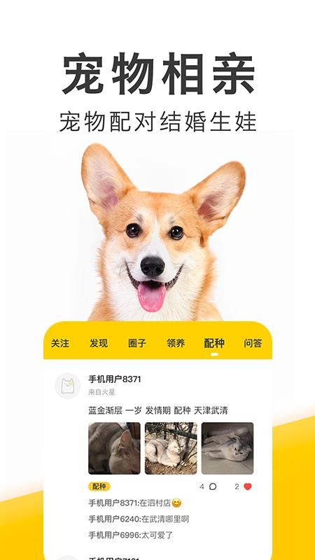 有只宠物官方版(1)
