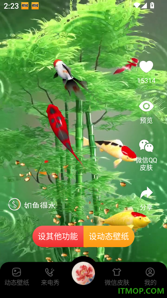 桌面锦鲤壁纸最新版