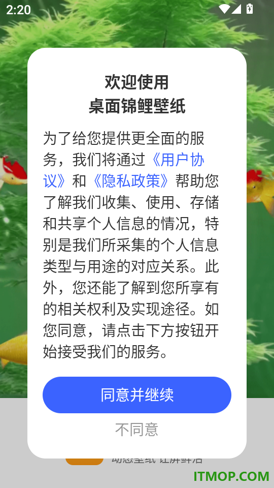 桌面锦鲤壁纸最新版