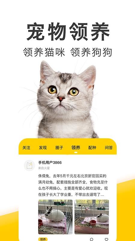 有只宠物官方版(2)